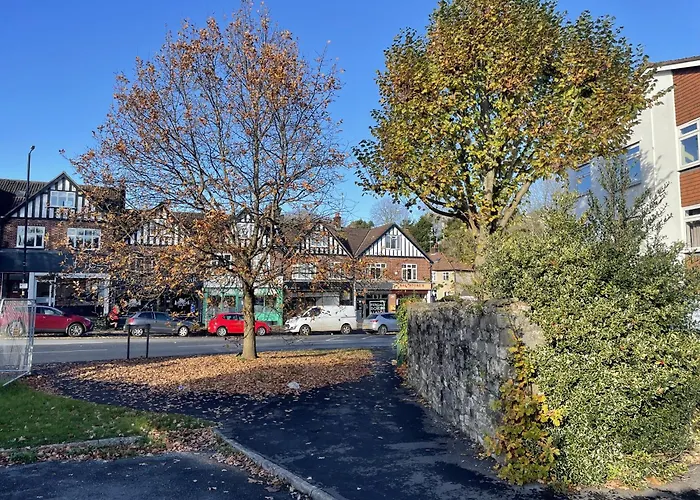 Light-filled Eco-home With Patio 度假居 布里斯托